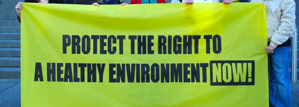 The Council of Europe loses another opportunity to swiftly protect the right to a healthy environment
