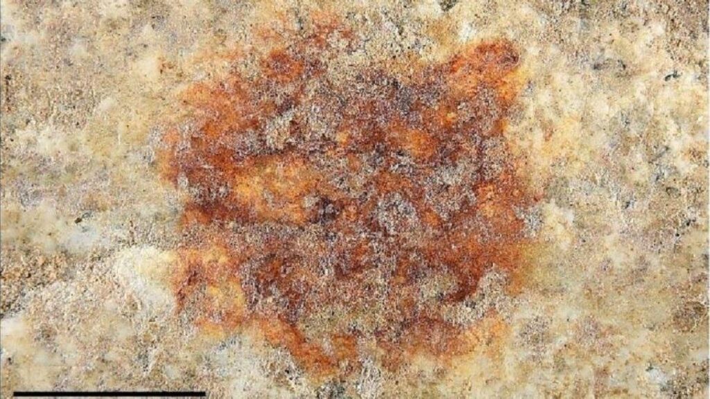 Discovered in Segovia the oldest human fingerprint in the world