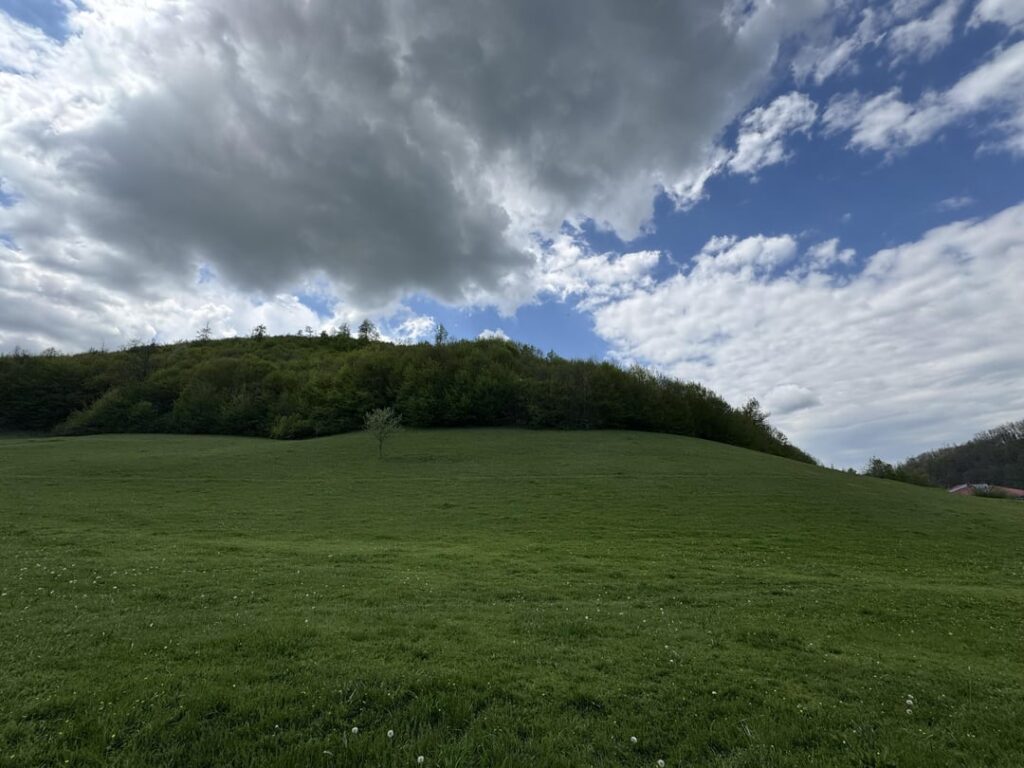 Green (Hajkobilla), Prishtina