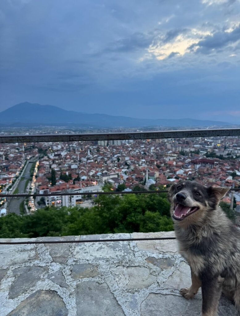 Prizren Castle