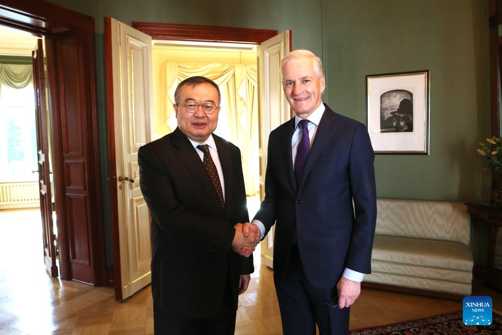 China, Norway pledge to enhance party exchanges, bilateral cooperation-Xinhua