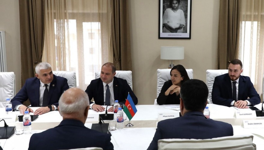 Givi Mikanadze Meets with Members of the Parliamentary Delegation of the Republic of Azerbaijan