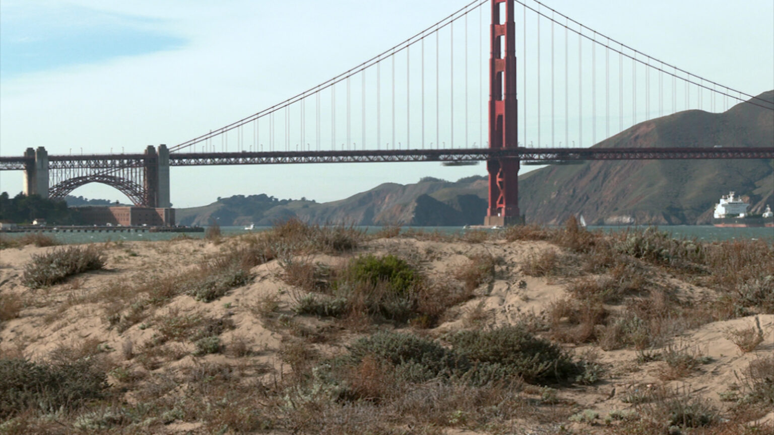Trump's Environmental Protection Agency budget cuts appear to target San Francisco Bay