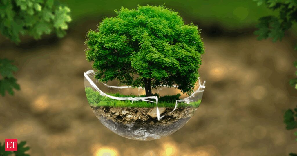 World Environment Day 2025: Top 50 powerful slogans to inspire everyone