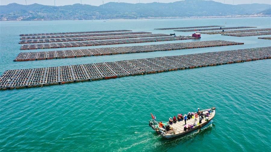 China's marine economy sees rapid growth