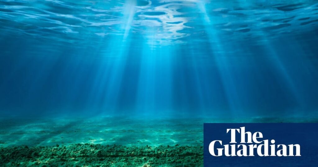 ‘Ticking timebomb’: sea acidity has reached critical levels, threatening entire ecosystems