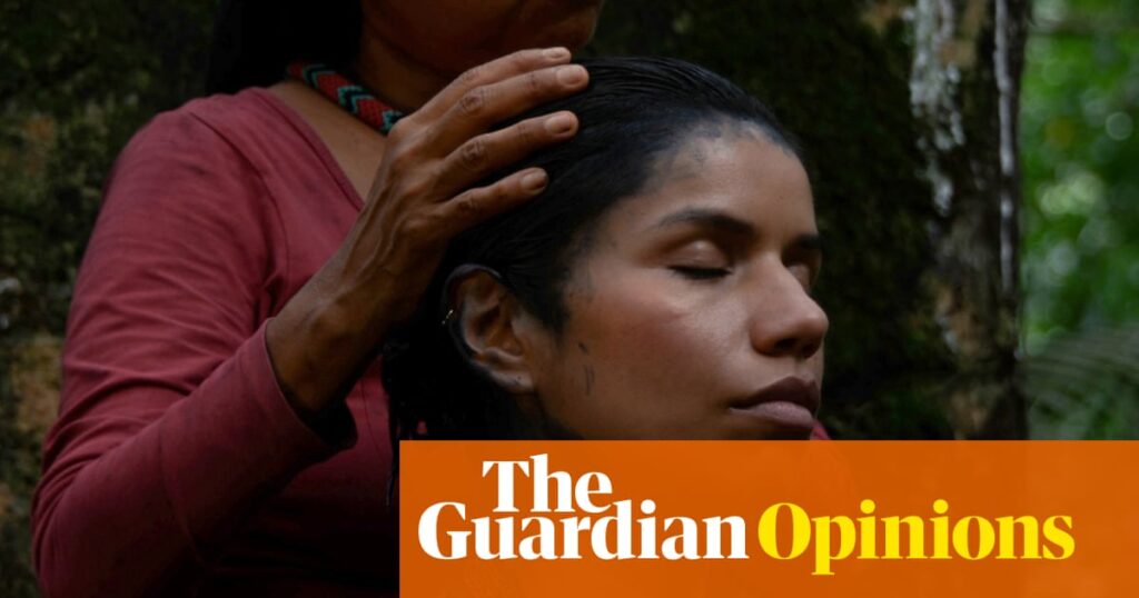 ‘Ayahuasca tourism’ is a blight on Indigenous peoples and our environment | Nina Gualinga and Eli Virkina