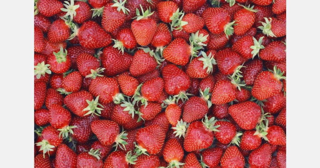 Moldova reports decreased strawberry harvest for 2025