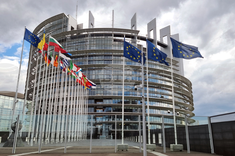 European Parliament's Foreign Affairs Committee Encourages North Macedonia's EU Path