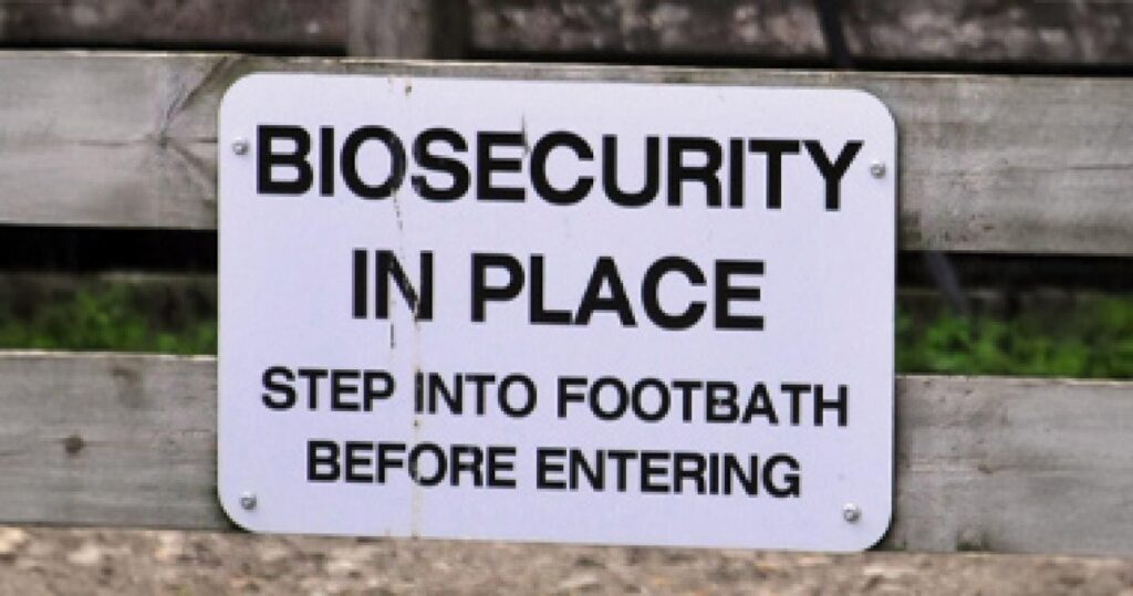 NZ signs agreement to prepare and respond to an FMD outbreak