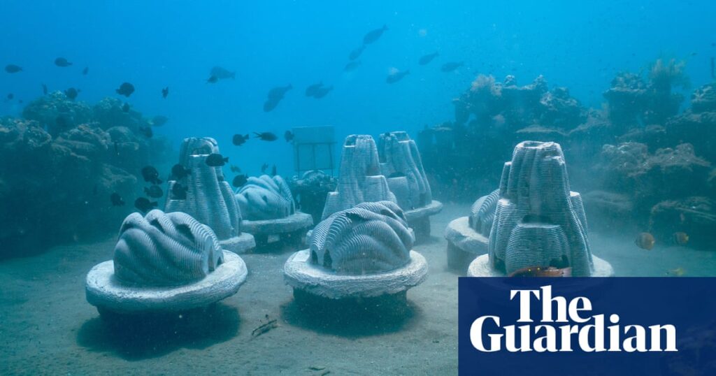 Reefs made from human ashes could revive British seabeds, says startup | Marine life