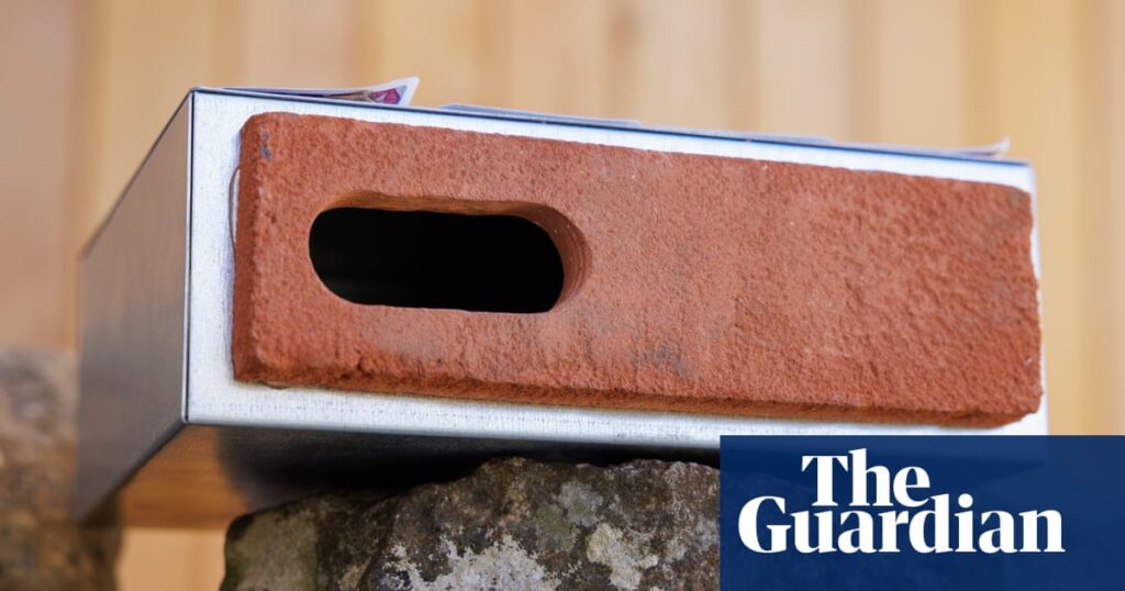 Reform UK backs plan to put swift bricks in every new home in England | Planning policy