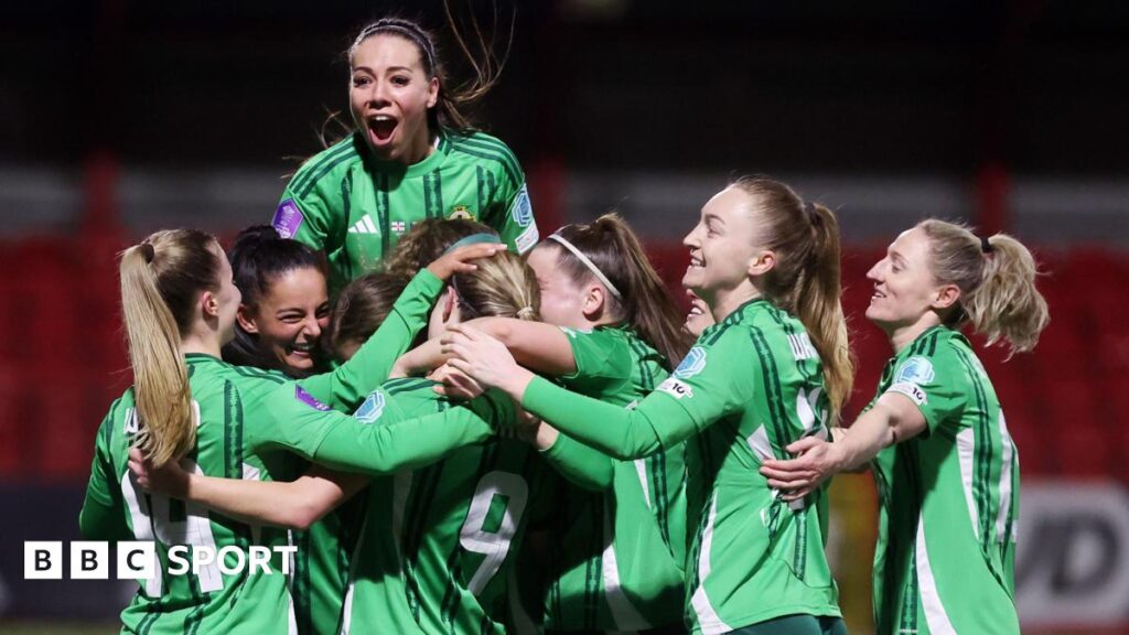 Northern Ireland players celebrate after scoring a goal