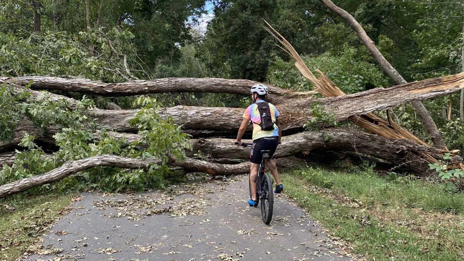 Storm damage and fallen trees from Hurricane Helene along the Swamp Rabbit Trail left many areas impassible.