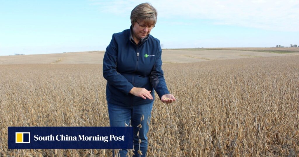 US farmers face tough outlook as China switches suppliers amid trade war US farmers face tough outlook as China switches suppliers amid trade war
