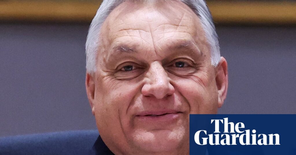 Hungary postpones vote on law to curb foreign-funded organisations | Hungary