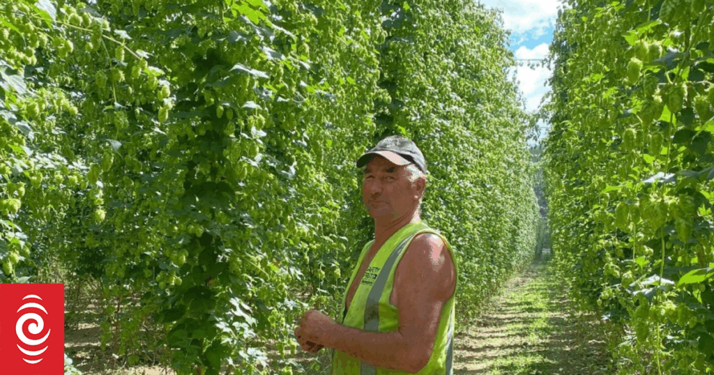 Man killed by falling tree remembered as a 'big character' in rural community