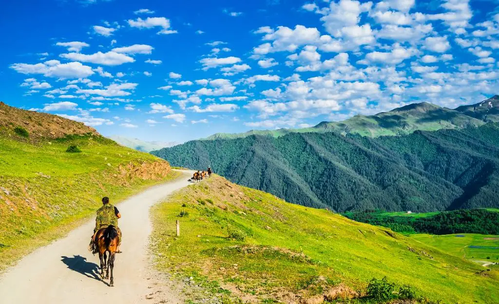 horse trekking in the Georgia mountains. 