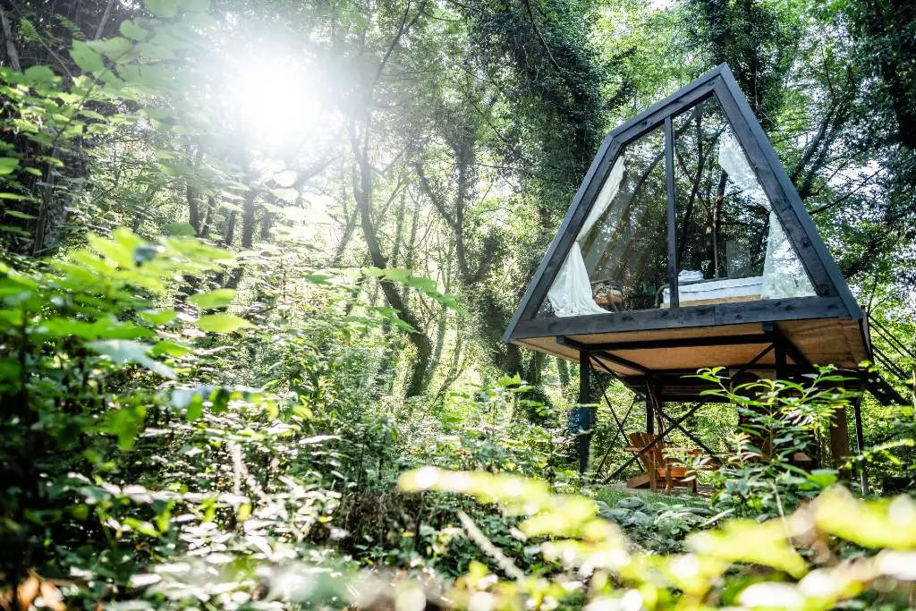 treehouse cabins at Duende hotel in Georgia. 