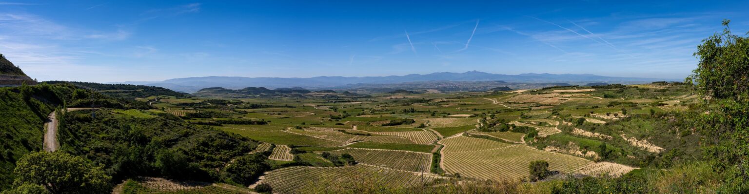 La Rioja (Taken from Abalos, LoRes file, 3 panel stitch)