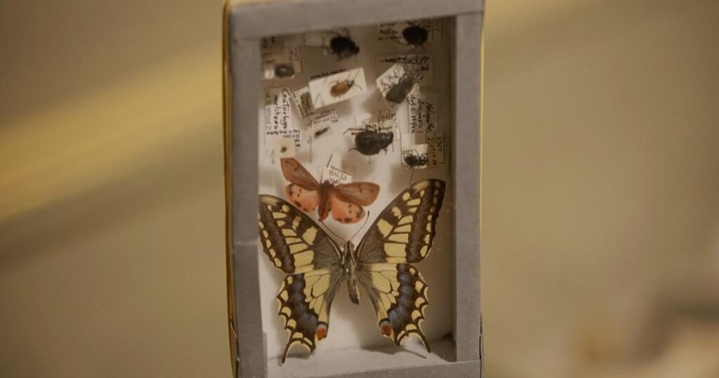 Analysing Malta’s mark on life’s catalogue