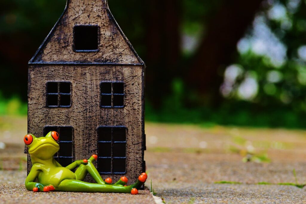 How Changing My Environment Changed My Identity