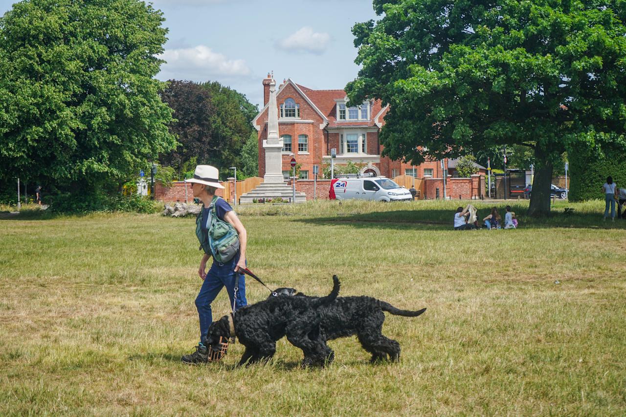London, UK. 31 May 2025. A woman walking her dogs on Wimbledon Common, south west London as temperatures are forecast to reach 26Celsius today . The Met Office has predicted a mini heatwave to hit London and South East England in June. Credit Amer Ghazzal/Alamy Live News