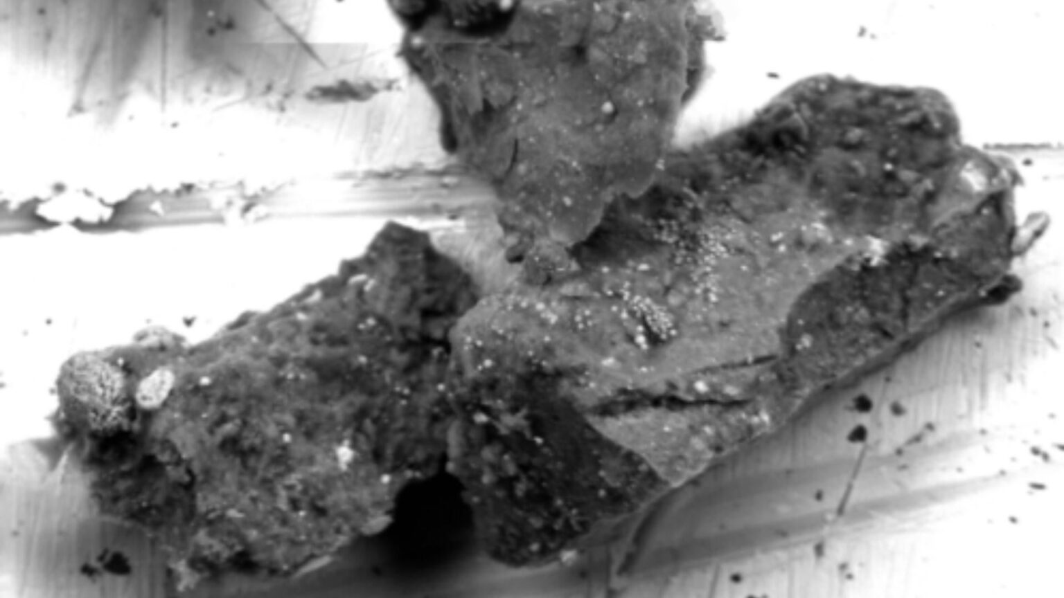 Astronomers discovered a wholly unexpected mineral in asteroid Ryugu