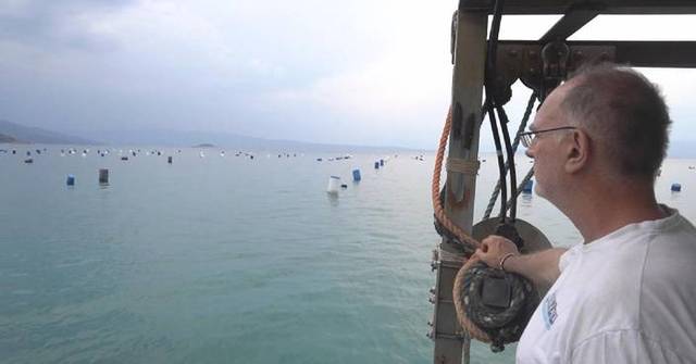 Higher sea temperatures devastate Greece’s mussel farming sector Higher sea temperatures devastate Greece's mussel farming sector