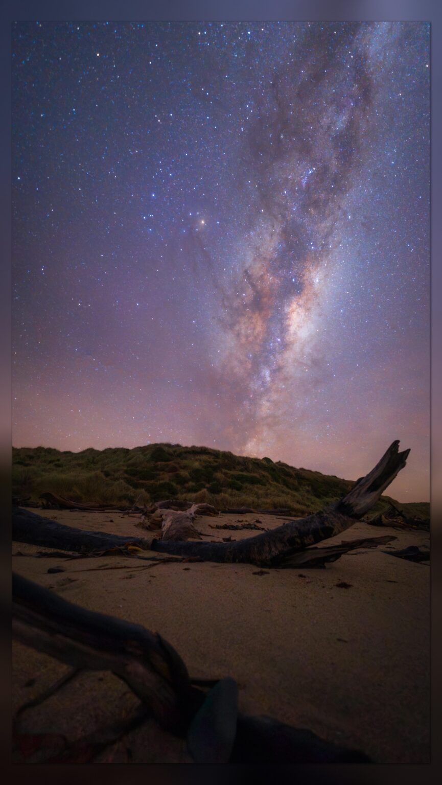 The Milky Way over drift wood covered sands