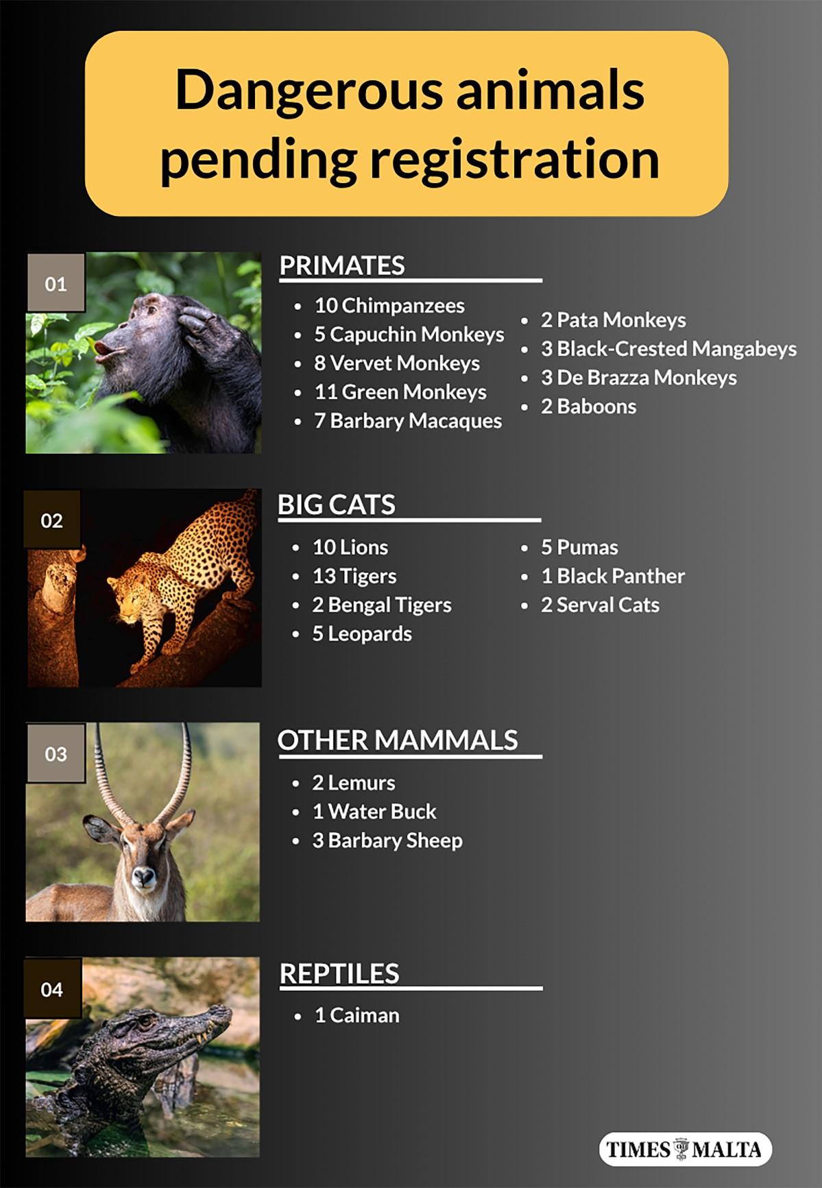 The list of breeds. Graphic: Bertrand Borg