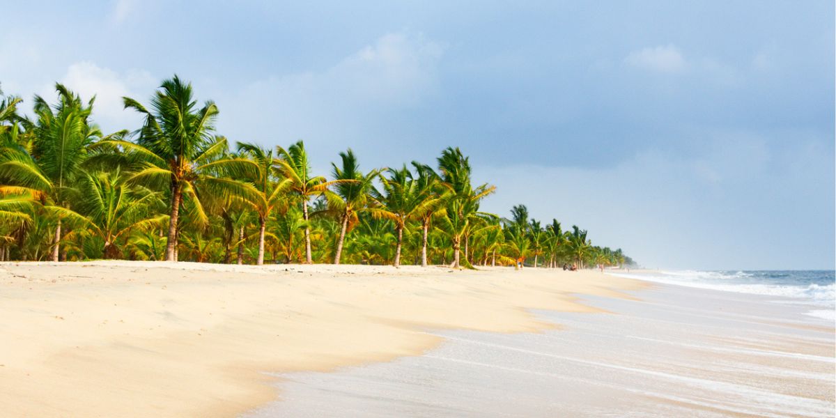 A beach in Kochi, Kerala. (iStock)