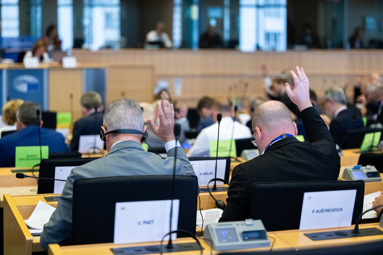 AFET adopts the report on North Macedonia, calls for the constitutional amendments