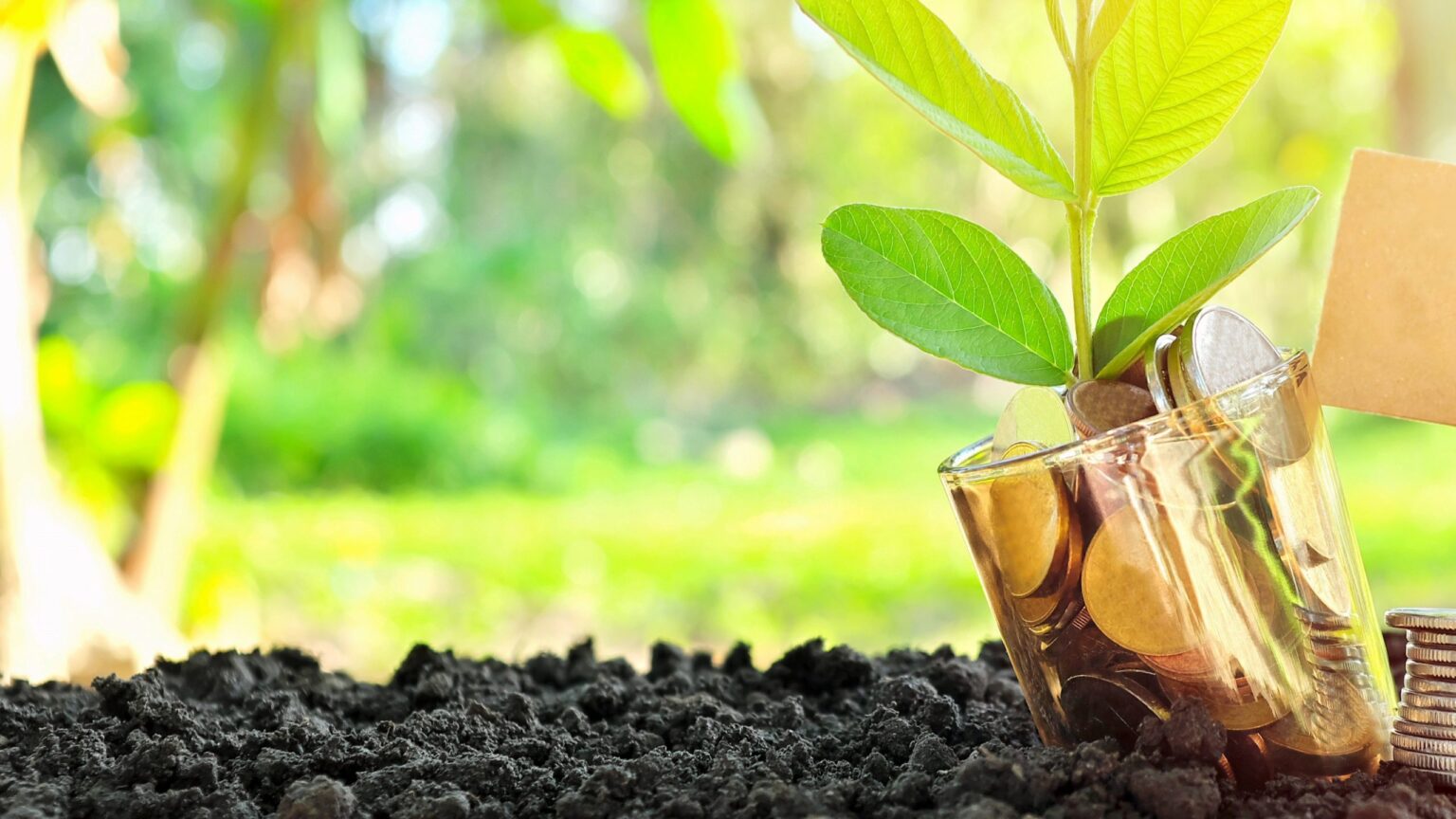 Environment Secretary Steve Reed champions private investment in nature recovery as the government launches a new call for evidence