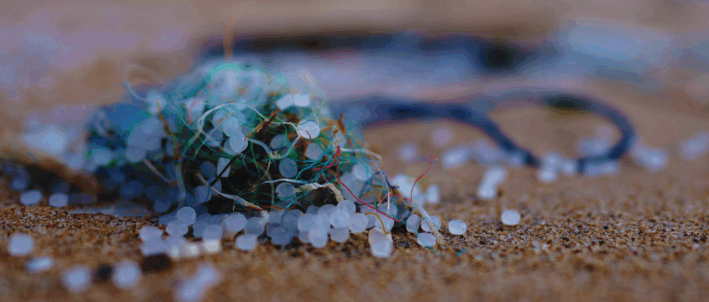 Turning the Tide on Plastic Pollution in Jamaica