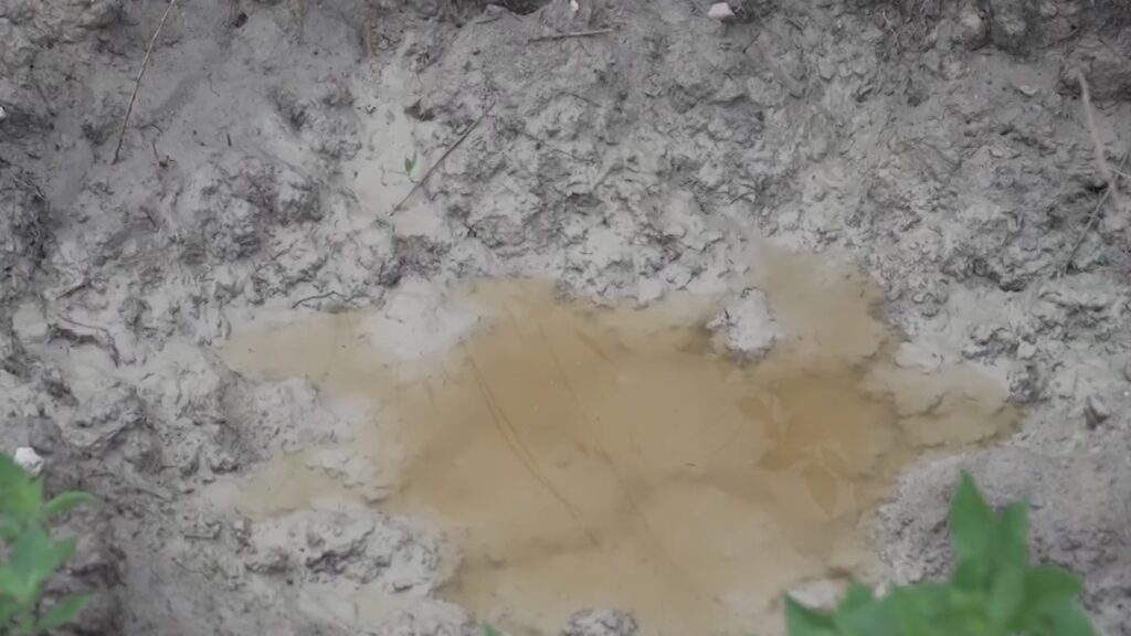 Landowner faulting Travis County over environmental concerns in closed landfill – KXAN Austin