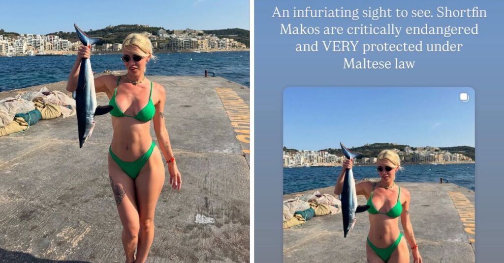 Love Island Malta Contestant Slammed For Handling Endangered Shark Article Featured Image