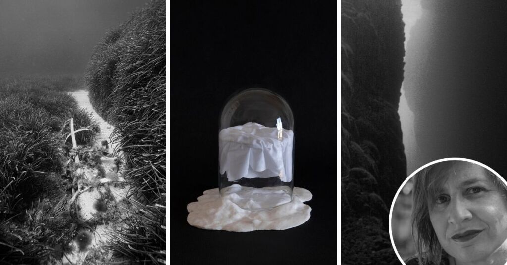Katel Delia’s Exhibition Highlights Fragility Of Our Marine Environment Article Featured Image