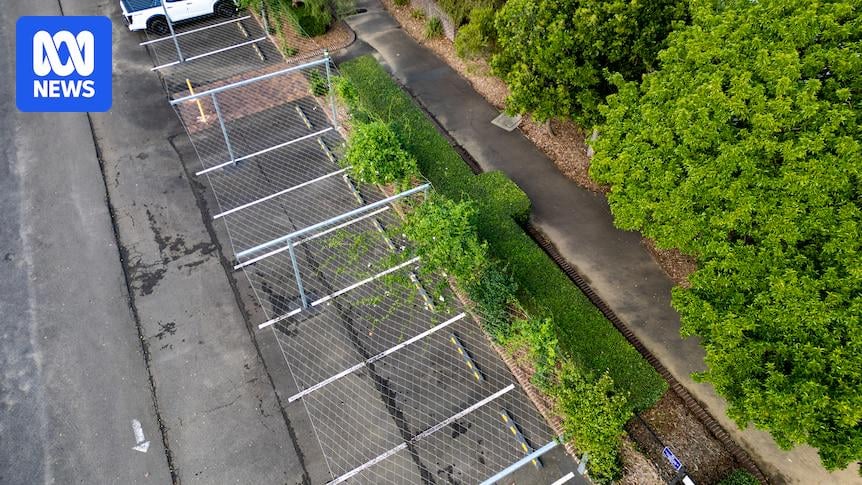 Vine-covered car parks helping to cool Western Sydney's urban heat islands