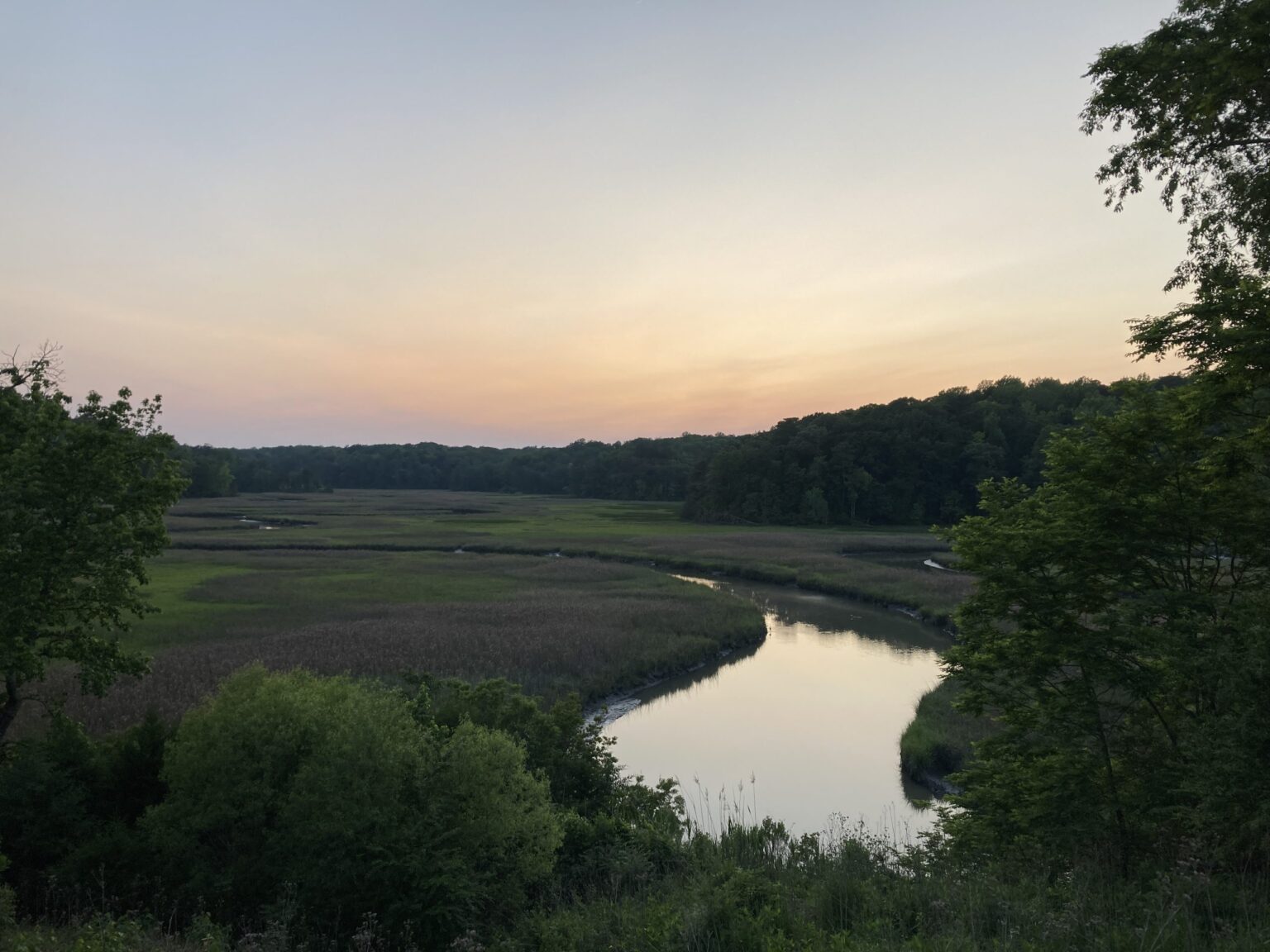 Environmental Groups Slam Federal Plan to Ship Wetlands Mitigation out of Hampton Roads