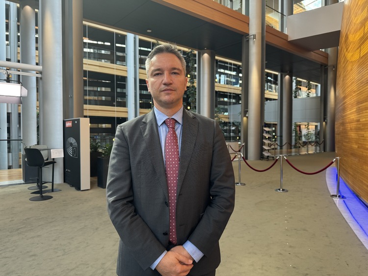 North Macedonia's EU Membership Vetoed by Its PM, Government, MEP Vigenin Says
