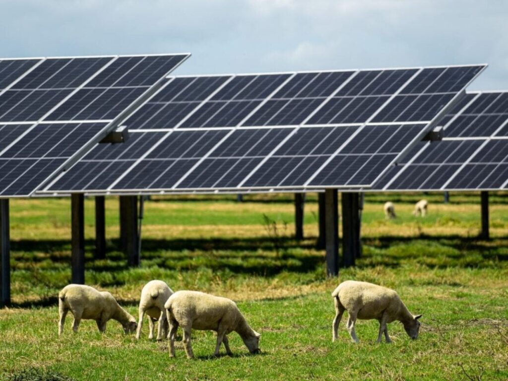 Lodestone begins construction of 28MW solar plant in New Zealand