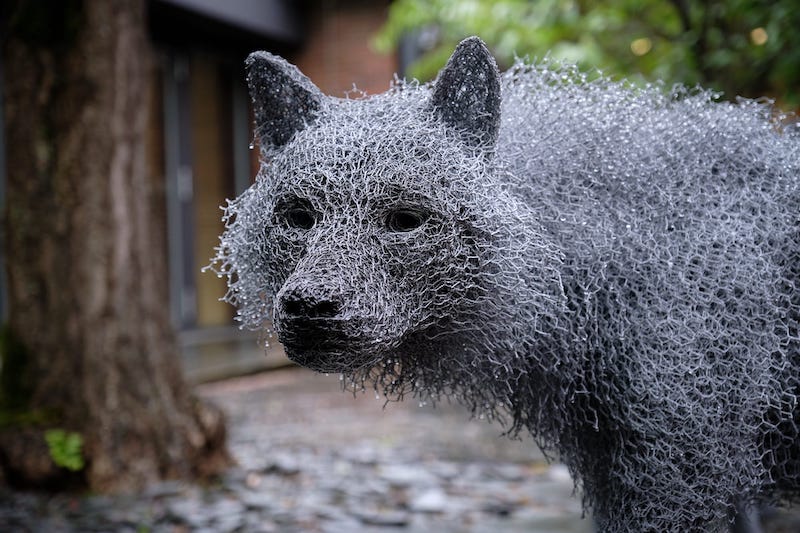Kendra Haste’s “Big Bad Wolf” Brings Wire Sculptures to Life in Germany