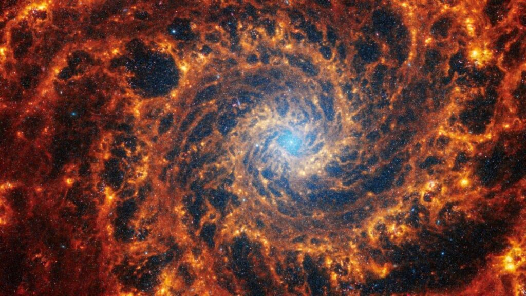 Exploring the cosmos fills us with wonder, Pope tells scientists - Vatican News