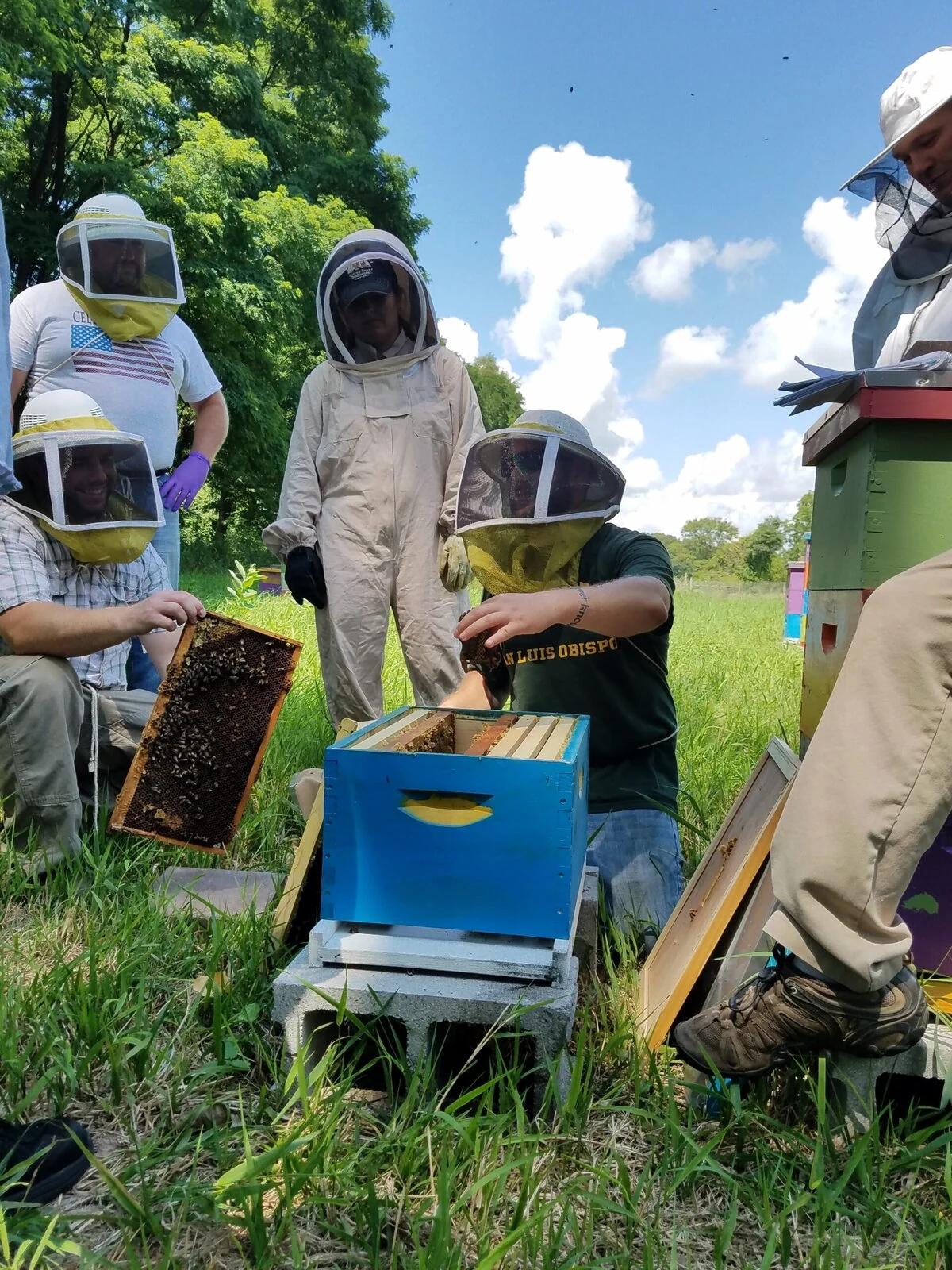 Adam Ingrao during a Heroes to Hives lesson. Credit: Lacey Ingrao. Several people in beekeeping suits gather in a field around a blue box containing a hive.