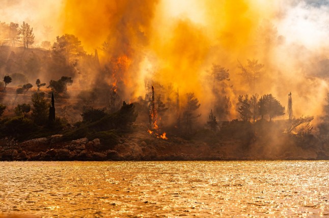 epa12196790 A wildfire burns trees by the sea in Lithi, Chios island, Greece, 24 June 2025 (issued 25 June 2025). Greek authorities on 25 June announced the arrest of a 30-year-old Georgian woman suspected of tossing away a lit cigarette that helped start one of the wildfires that broke out between 22 and 23 June, while investigations are still underway to determine the cause of the other blazes on the island. EPA/KOSTAS KOURGIAS