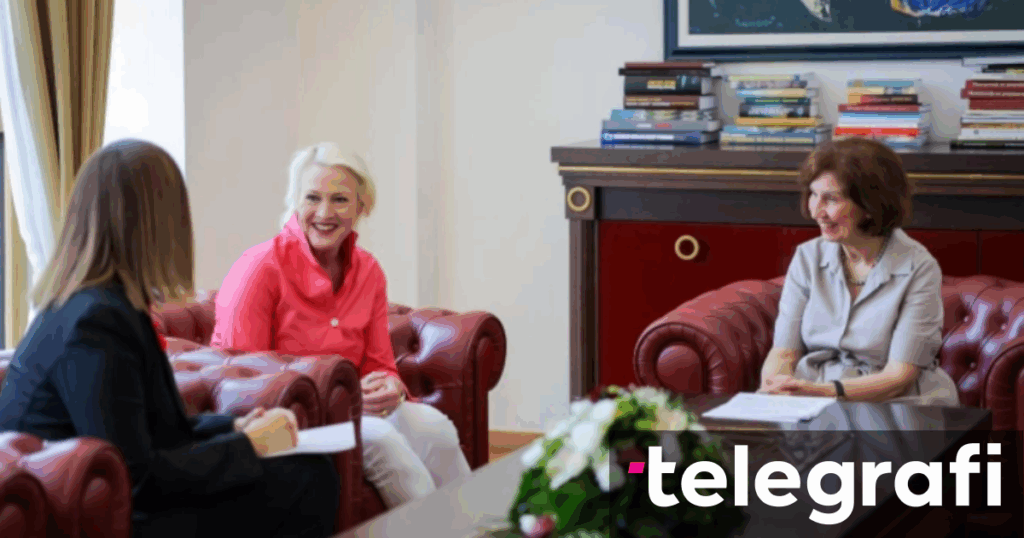 Siljanovska-Davkova hosted a farewell meeting with Jerry Dibble, USAID representative in North Macedonia - Telegraph