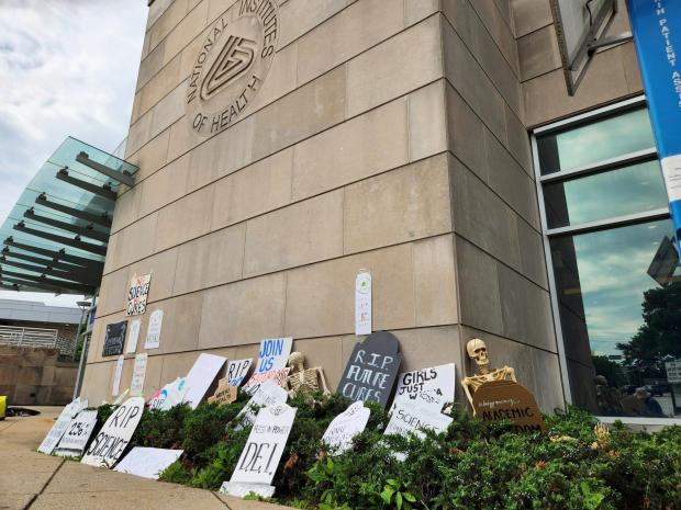 This photo obtained by The Associated Press shows cardboard tombstones...