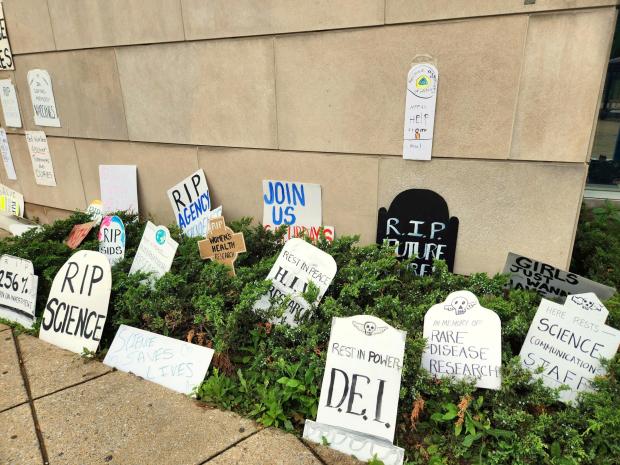 This photo obtained by The Associated Press shows cardboard tombstones...