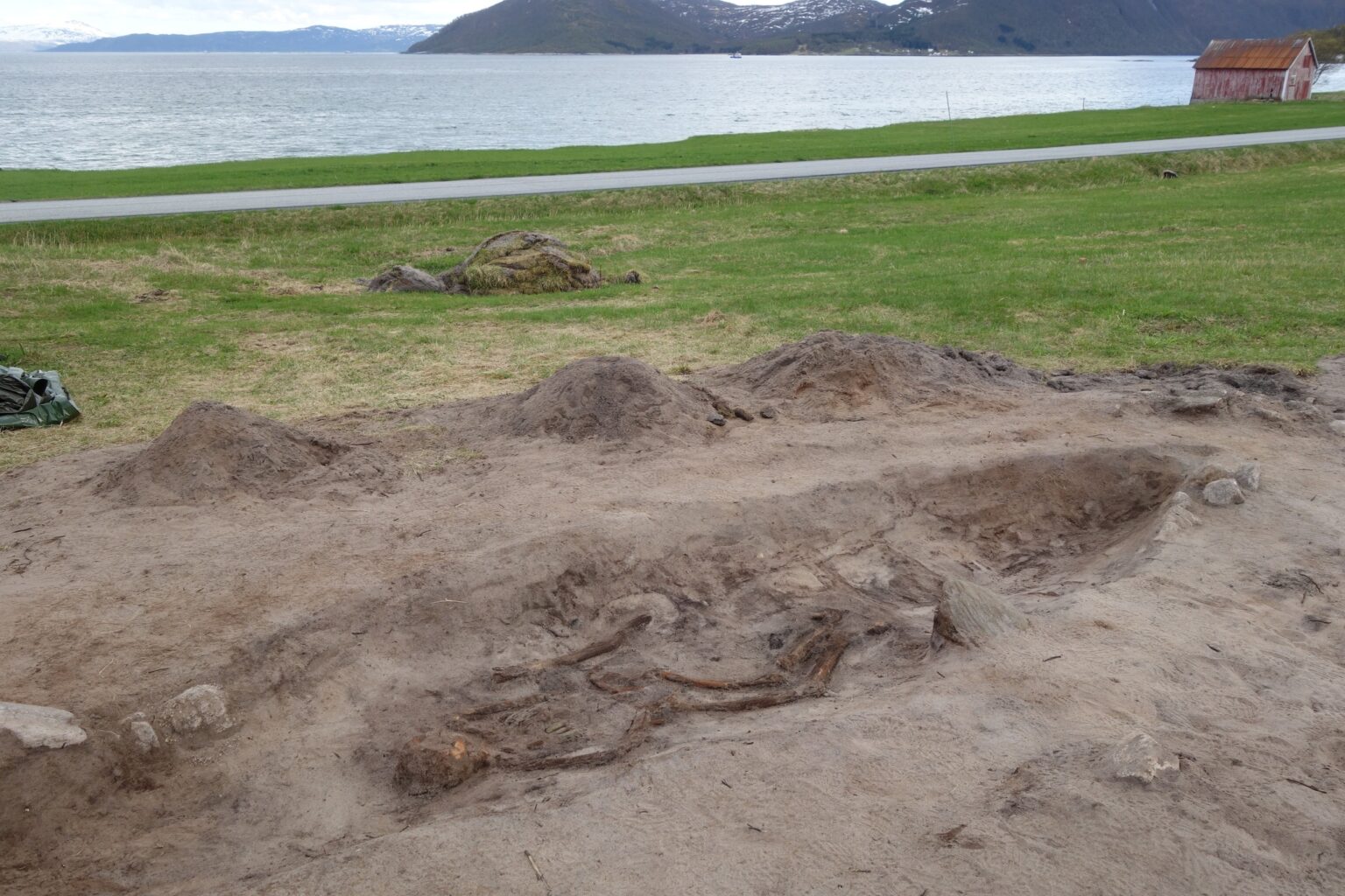 Archaeologists Uncover 1,100-Year-Old Viking Boat Grave of Woman and Her Dog on Senja Island, Norway